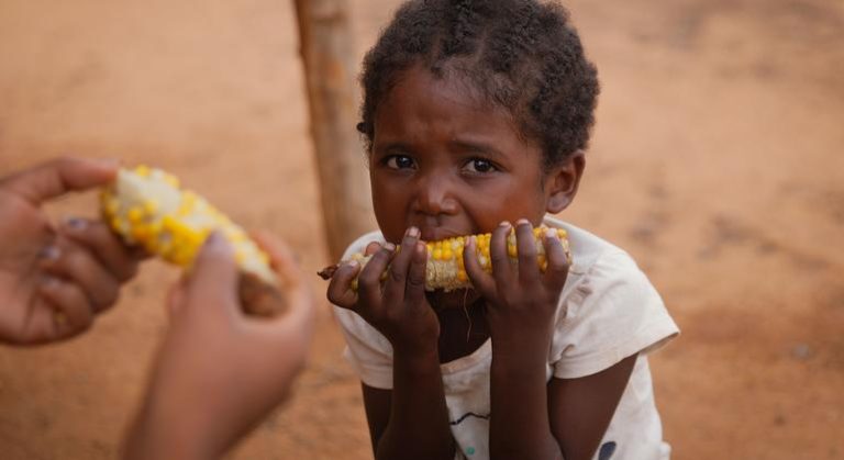 Better prevention and targeting of root causes needed to combat food crises |