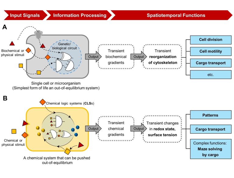 Exploring chemical logic systems that can respond to environmental conditions