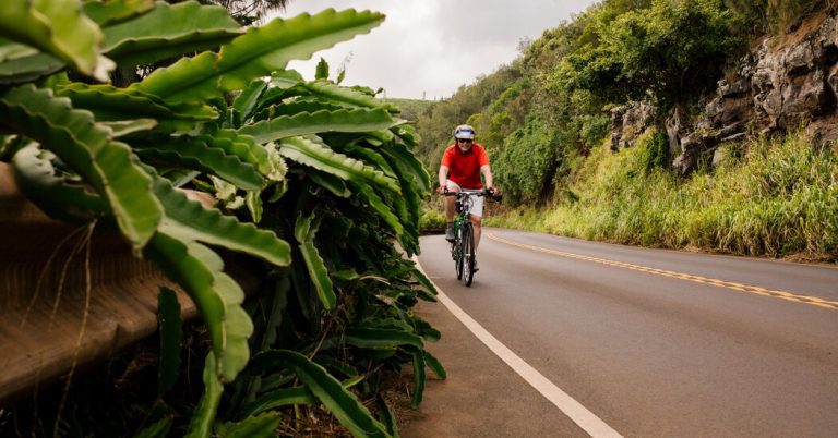 E-Bike Bliss on Maui and Lanai, Two Hawaiian Islands