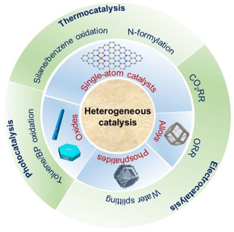 New review highlights innovative catalysts: Design and application