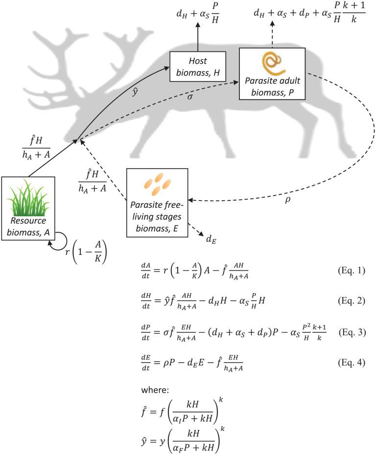 Nonlethal parasites reduce how much their wild hosts eat, leading to ecosystem effects