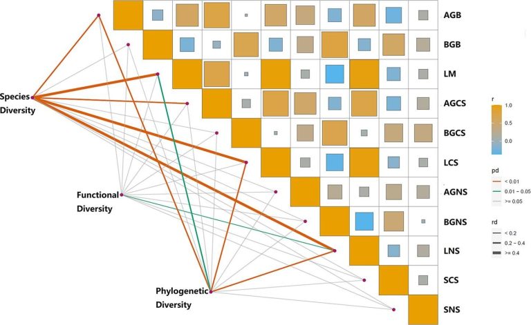 Precipitation changes alter species diversity and ecosystem multifunctionality in desert steppe environments