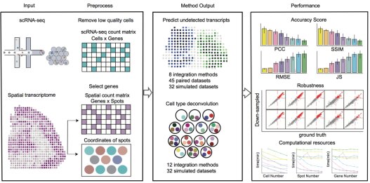 Benchmarking transcriptomics integration methods for transcript distribution prediction and cell type deconvolution