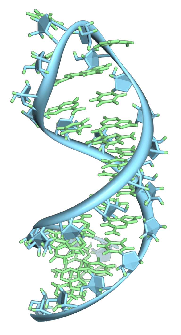 New single-cell RNA-sequencing method has potential to become universal tool of choice