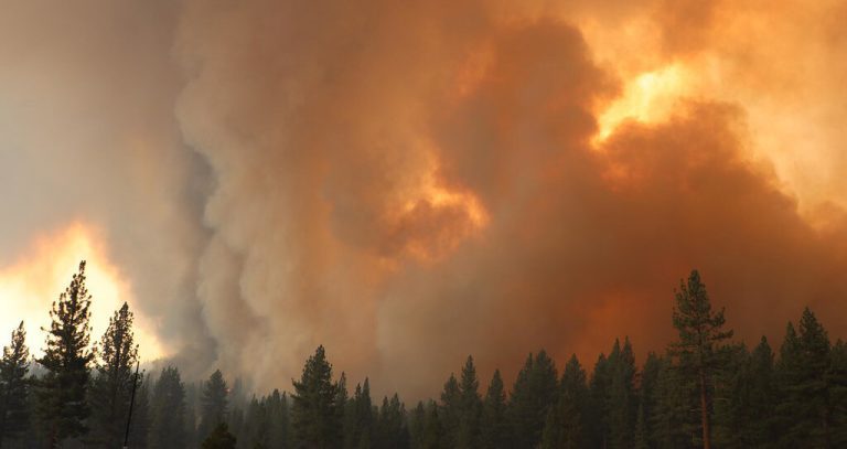 Scientists develop method for seasonal prediction of wildfires in the US West