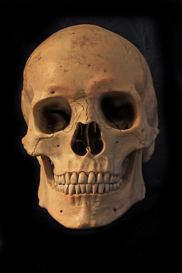 Nearly 8,000-year-old skull found in Minnesota River