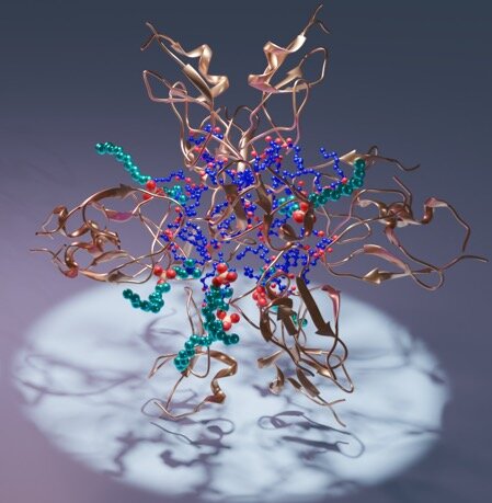 New protein structures to aid rational drug design