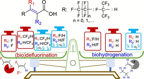 Under anaerobic conditions, common microbial communities can break the ultra-strong carbon-fluorine bond