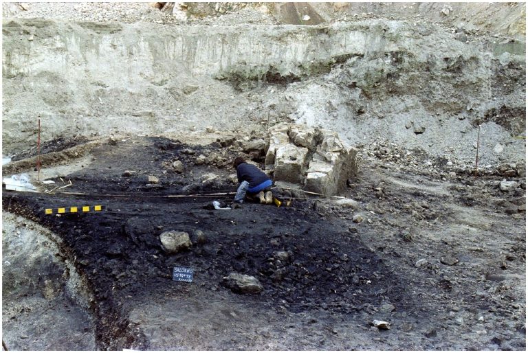 Unique cremation site of the Late Bronze Age was left to the elements