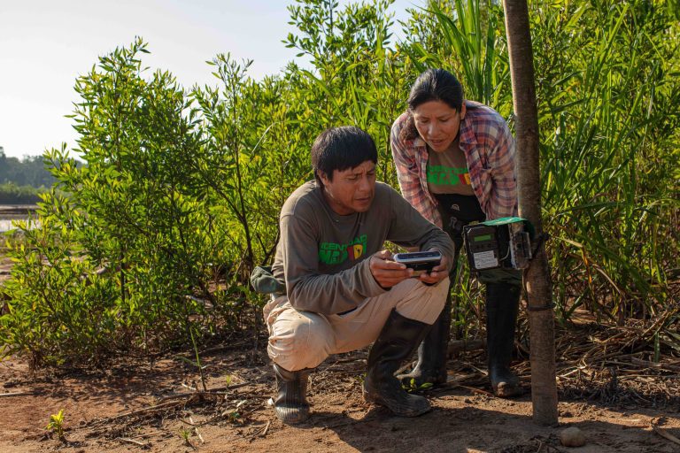 Scientists provide more than 57,000 camera trap images for massive study on Amazon wildlife