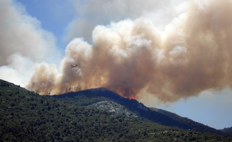 Taming tomorrow’s wildfires