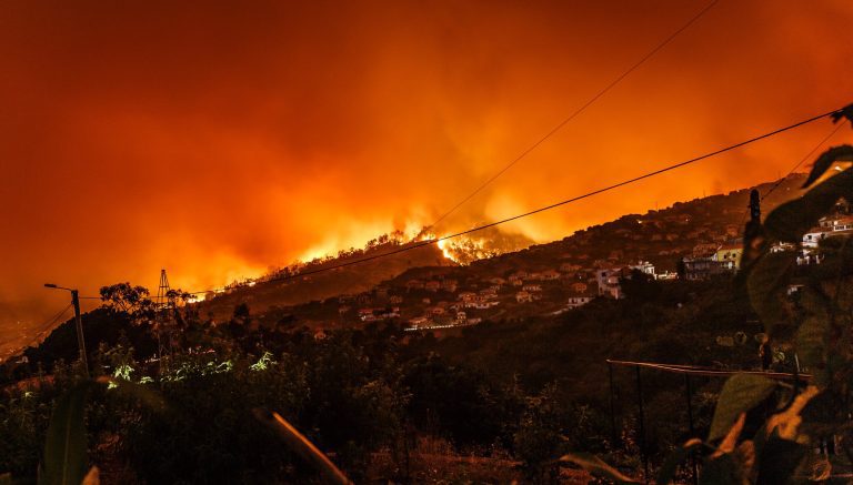 Climate change raised the odds of unprecedented wildfires in 2023–24, say scientists