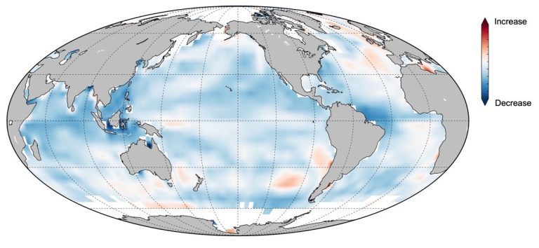 World’s ocean is losing its memory under global warming