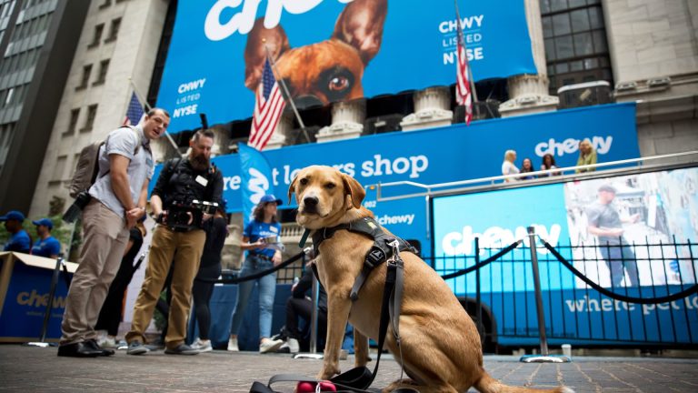 Stocks making the biggest moves after hours: Chewy, GameStop and more