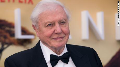 British broadcaster David Attenborough receives Covid-19 vaccine