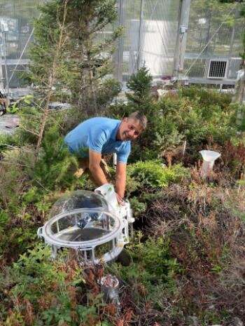 Microbes enhance resilience of carbon-rich peatlands to warming