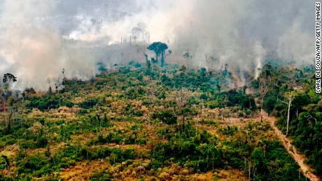 Crucial tropical forests were destroyed at a rate of 10 soccer fields a minute last year