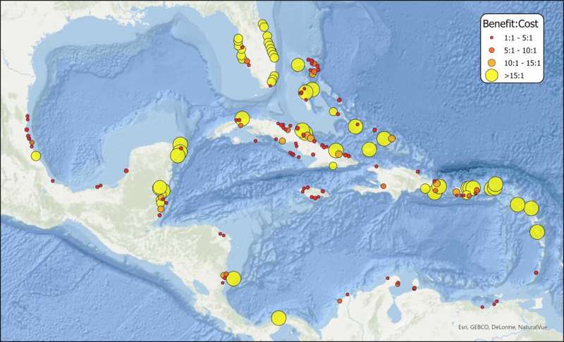 Study shows mangrove and reef restoration yield positive returns on investment for flood protection