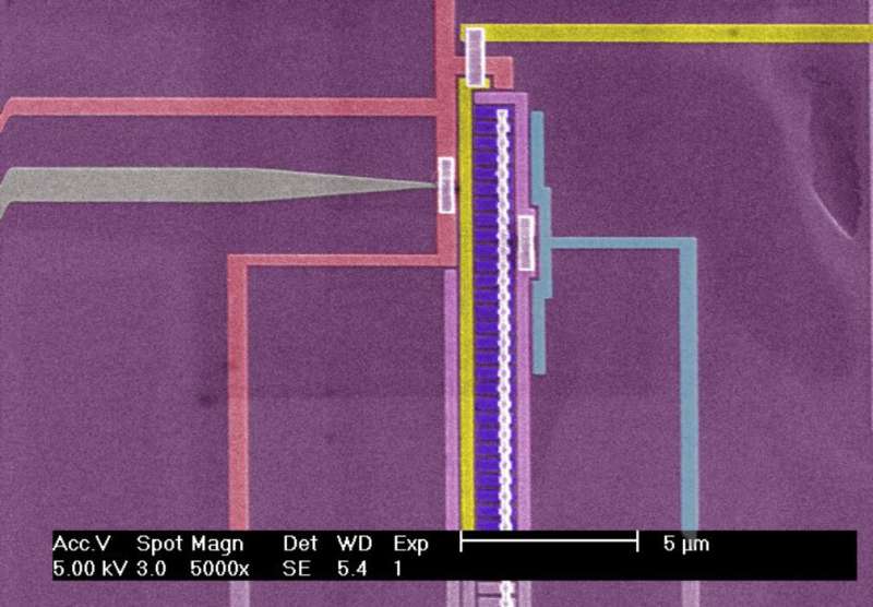 Electrons take the fast and slow lanes at the same time