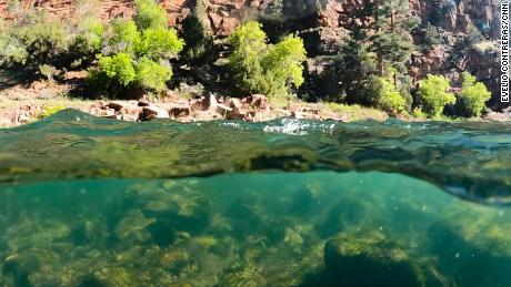 The reservoir&#39;s temperature-controlled output greats a Goldilocks zone for hatching insects and trout.