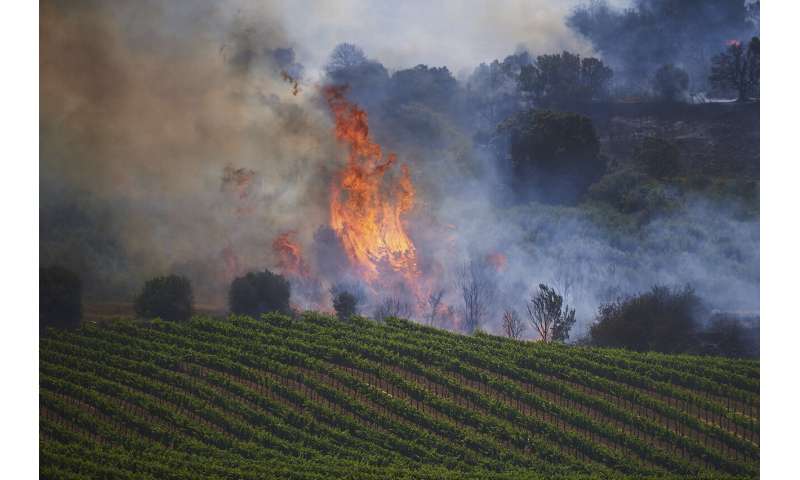 Spain, Germany battle wildfires amid unusual heat wave