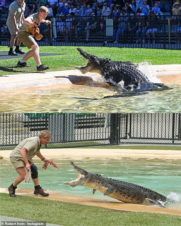 Robert, 18, paid tribute to his late father on World Crocodile Day last week. He shared this side-by-side photo to Instagram of the pair both feeding crocodiles at Australia Zoo years apart