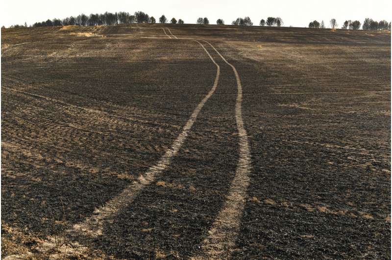 Europe wildfire risk heightened by early heat waves, drought