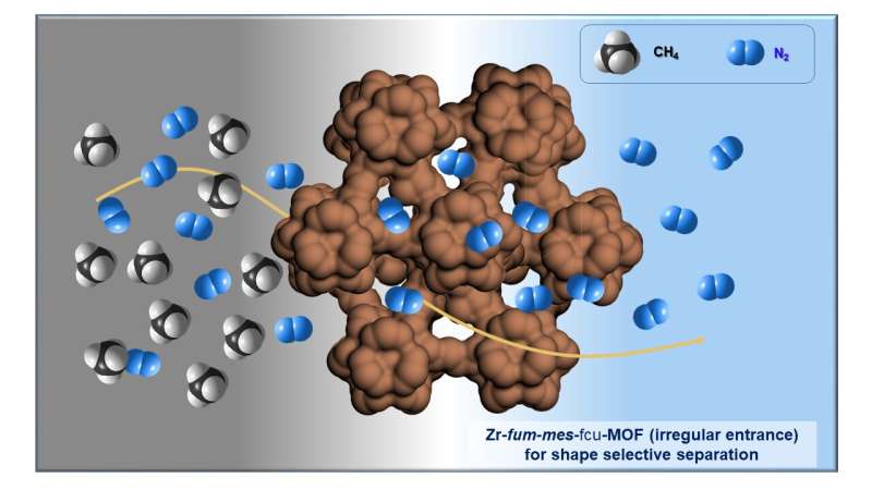 Shaping the future of purification