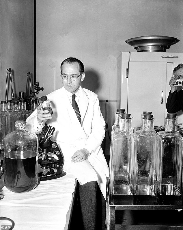 The fight against polio was further boosted when a team of scientists at Harvard Medical School, led by Dr Jonas Salk, in the 1940s used blood samples of infected patients to extract and grow the virus in live cells. Pictured: Dr Salk at the Municipal Hospital laboratory in April 1955 after announcement of the successful vaccine results