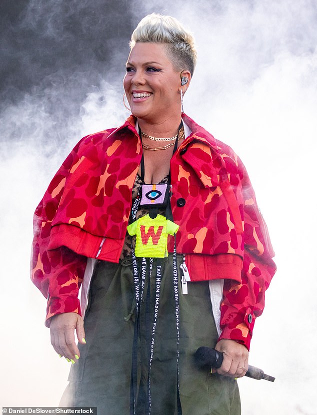 Busy worker: Pink recently was a headliner at the 2022 BottleRock Music Festival in Napa Valley, California