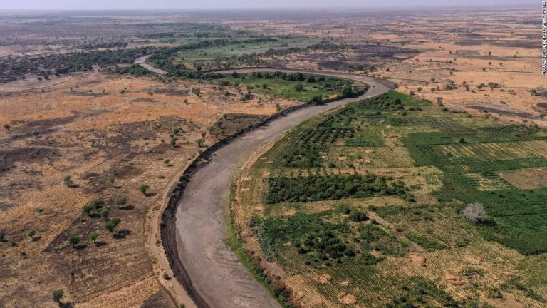 More than 40% of Earth’s land surface must be conserved to stop the biodiversity crisis, report warns