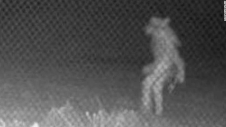 Mysterious creature caught on camera has authorities asking for help