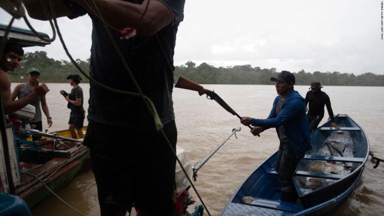 Apparent human remains found near Brazilian port where missing journalist and researcher were heading