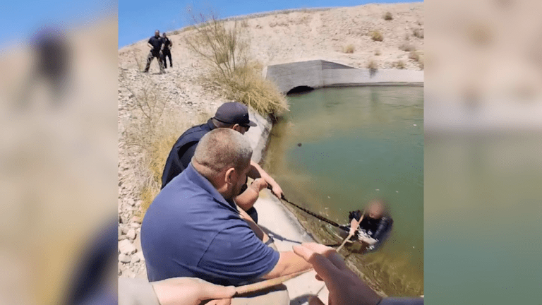 Woman clings to tree in canal for hours after trying to save her dog