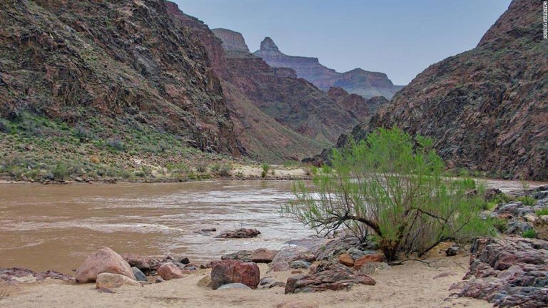 Chicago woman dies after falling into the Colorado River while on a commercial river trip, NPS says