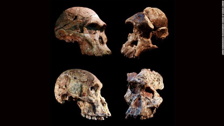 Early human fossils are a million years older than expected