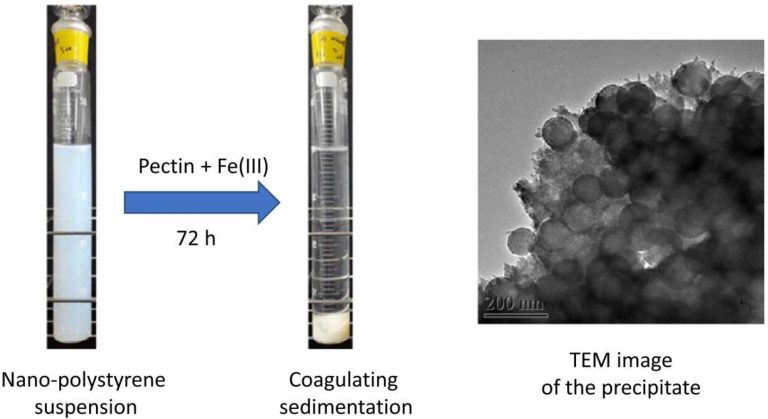 Interaction between nanoplastics and pectin, a water-soluble polysaccharide