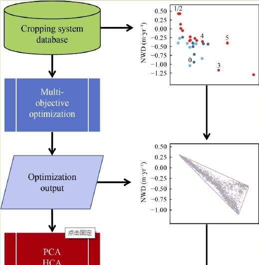 A new design of sustainable cropping diversifications