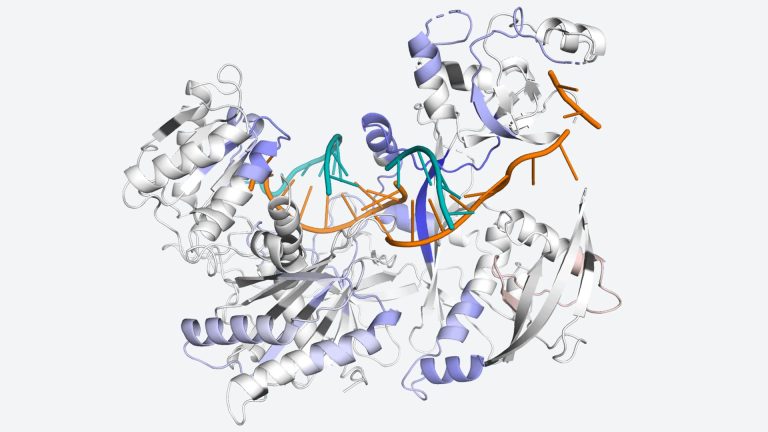 Scientists Decode How a Protein on the Move Keeps Cells Healthy