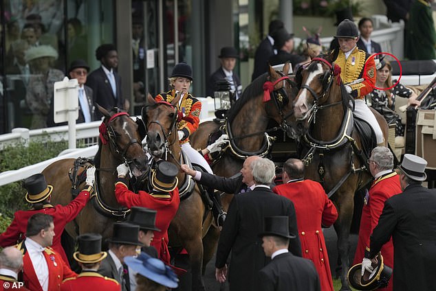 Ascot drama as horse pulling Princess Beatrice’s procession carriage is spooked