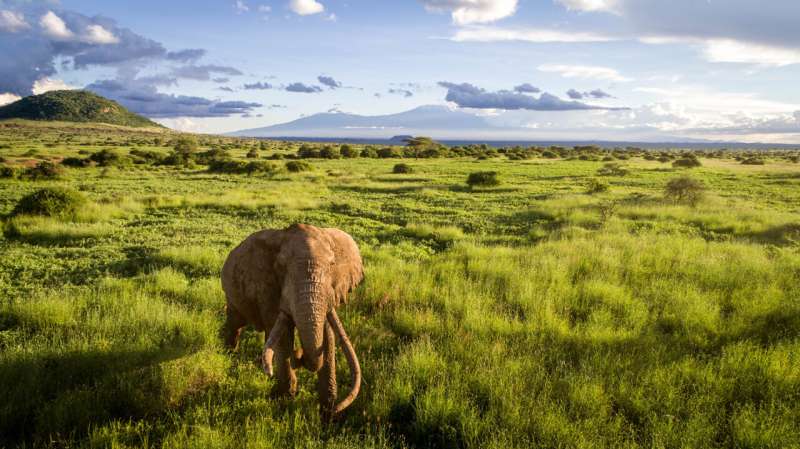 Scientists show that at least 44 percent of earth's land requires conservation to safeguard biodiversity and ecosystem services