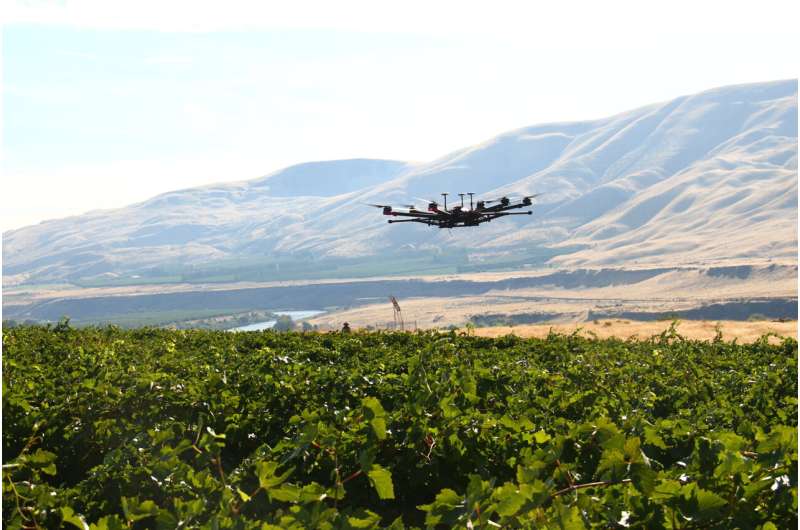 Automated drones could scare birds off agricultural fields