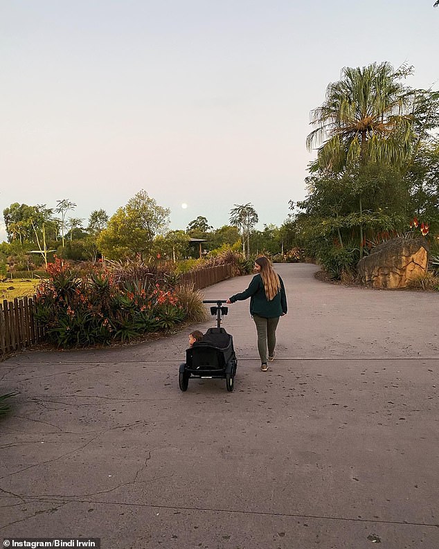 Bindi Irwin takes daughter Grace Warrior for a walk around Australia Zoo