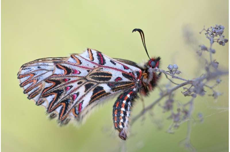 biodiversity