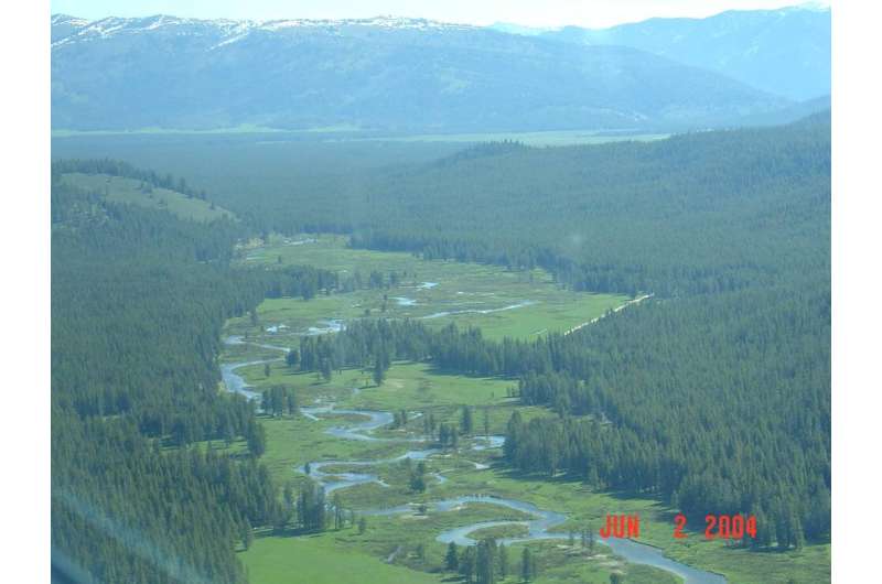 Climate change is shrinking and fragmenting salmon habitat