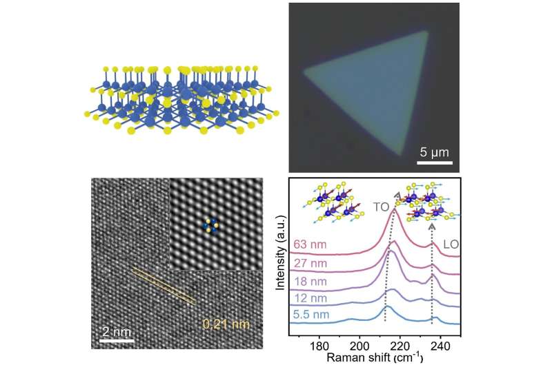 Controlled synthesis of crystal flakes paves path for advanced future electronics