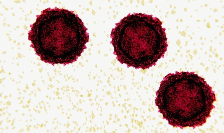 Experts worried by polio return as virus spreads for first time in 40 years