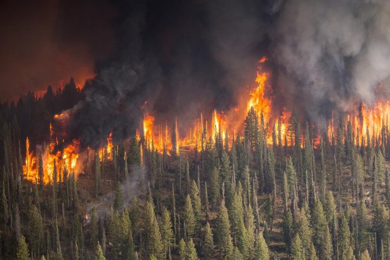 Living Near Wildfires Can Increase Your Risk of Cancer