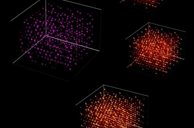 Harnessing machine learning to analyze quantum material