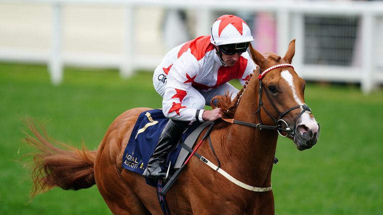 Holloway Boy wins the Chesham Stakes